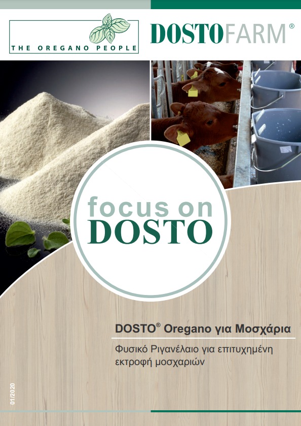 Focus on DOSTO Calves (01-2020)_GR