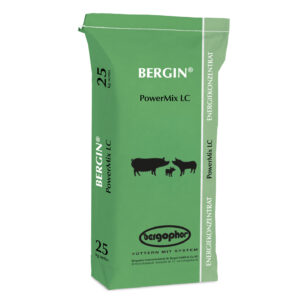 BERGIN POWERMIX LC (25kg)