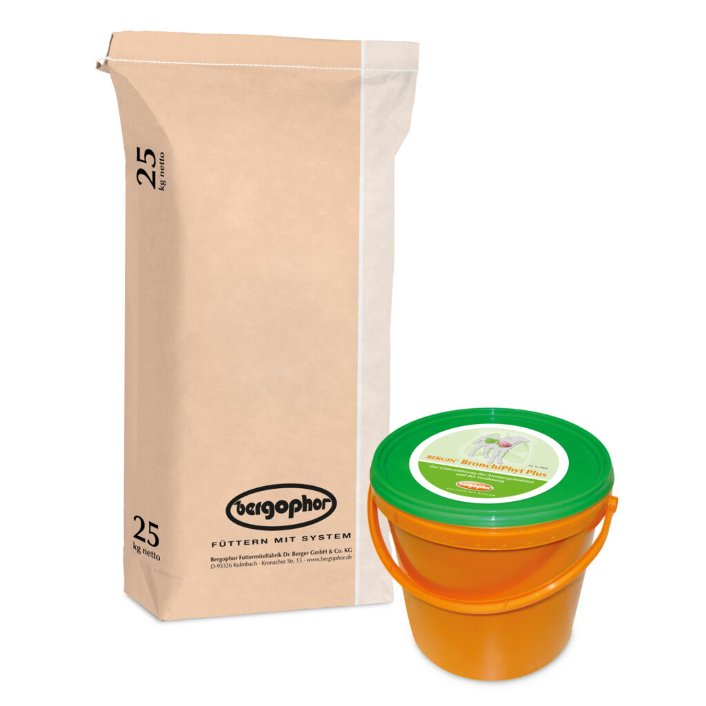 BERGIN BRONCHPHYT PLUS