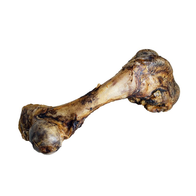 DELIBEST DOG ORIGIN ΜΟΝΟΠΡΩΤΕΪΝΙΚΟ SNACK 100% ΜΟΣΧΑΡΙΣΙΟ ΚΟΚΚΑΛΟ XXL (6*1τεμ.) GRAIN FREE