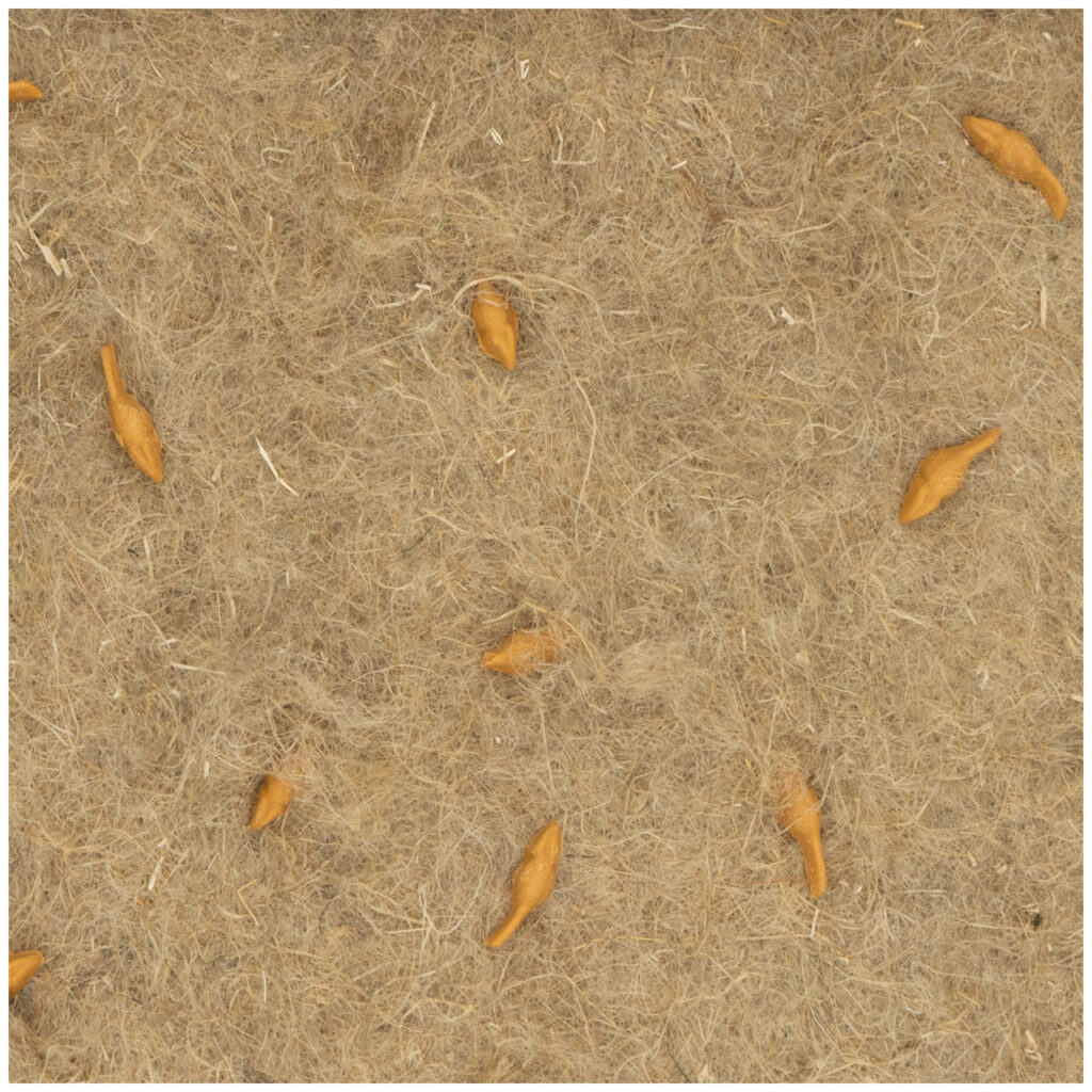JR CAT “BACK TO INSTINCT” PIECE OF NATURE ACTIVE CARPET (55*37*4)