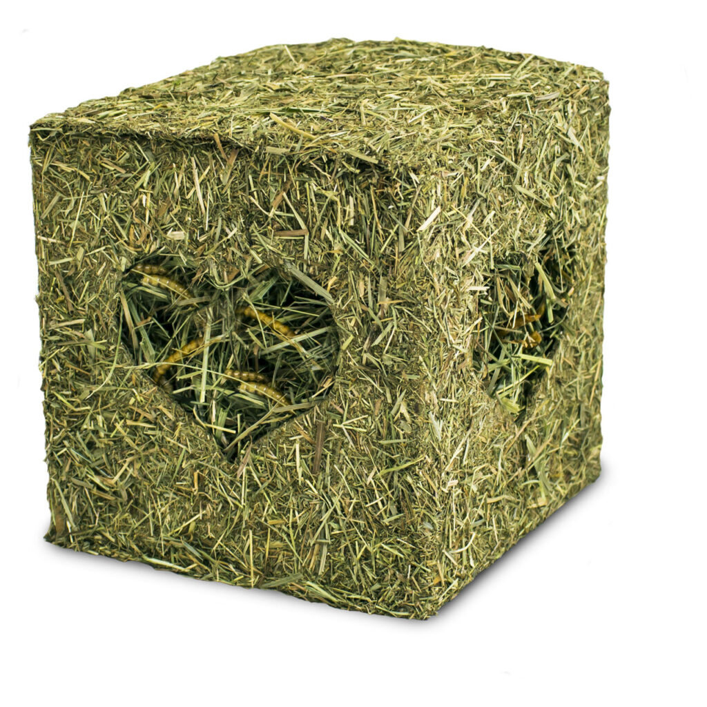 JR FARM HAY CUBE WITH MEALWORMS HAY IN A CUBE WITH WORMS FOR HAMSTERS (6*125gr.)