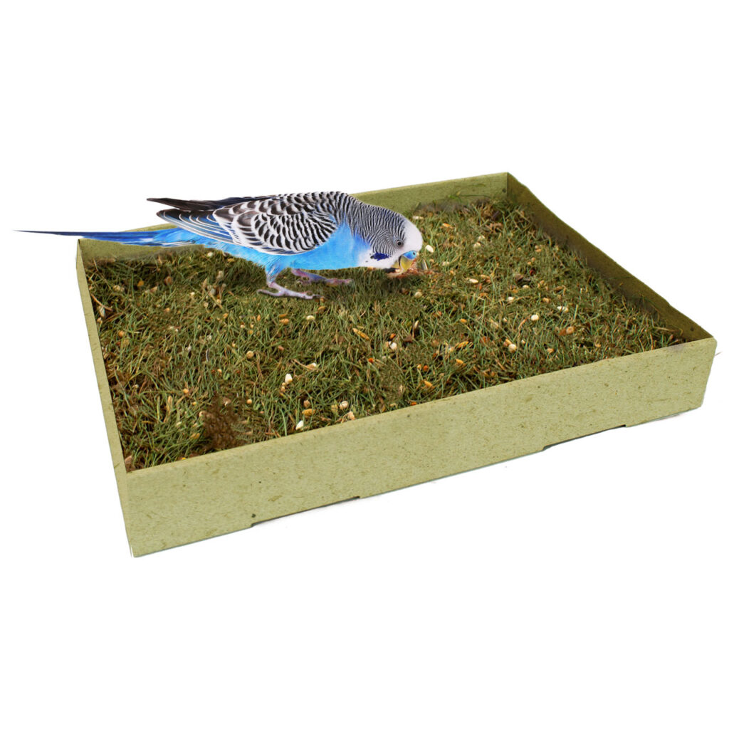 JR FARM PECK MEADOW A REAL PIECE OF NATURE WITH RICH NUTRITIONAL INGREDIENTS 600gr. (30*23*4cm.)