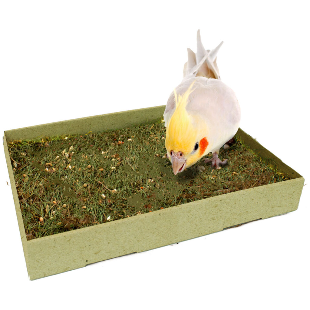 JR FARM PECK MEADOW A REAL PIECE OF NATURE WITH RICH NUTRITIONAL INGREDIENTS 600gr. (30*23*4cm.)