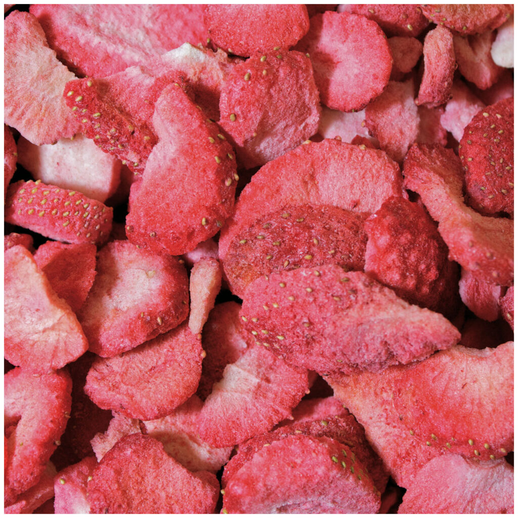 JR FARM ΦΡΑΟΥΛΕΣ “PURE STRAWBERRIES” ΓΙΑ ΟΛΑ ΤΑ ΤΡΩΚΤΙΚΑ (7*20gr.)